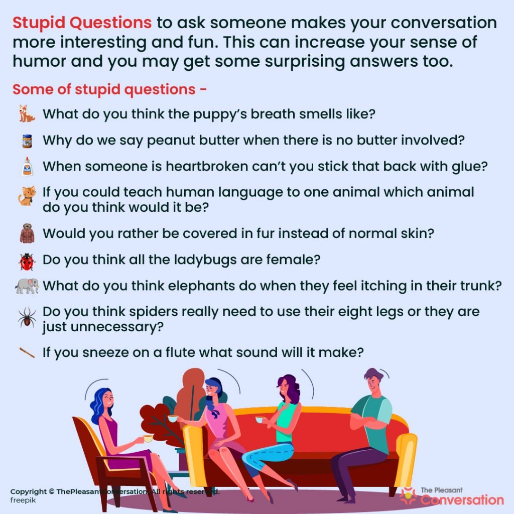 500+ Stupid Questions to Make Your Conversation More Enjoyable